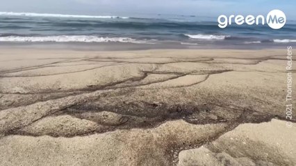 Marea nera in California: fuoriusciti 500mila litri di petrolio. Chiazza di 30 km quadrati