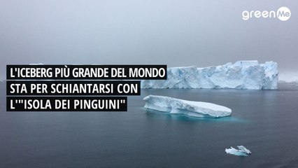 L'iceberg più grande del mondo sta per schiantarsi con l'"Isola dei Pinguini"