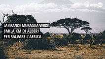 La grande muraglia verde: 8mila Km di alberi per salvare l’Africa