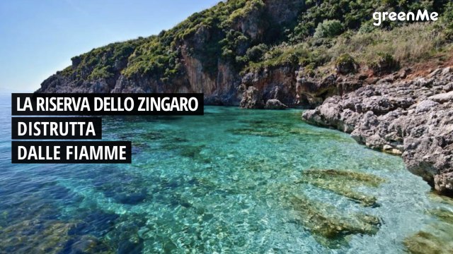 La Riserva dello Zingaro distrutta dalle fiamme