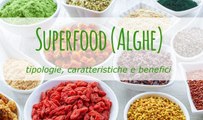 Superfood (Alghe): tipologie, caratteristiche e benefici