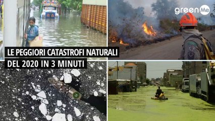 Le peggiori catastrofi naturali del 2020 in 3 minuti