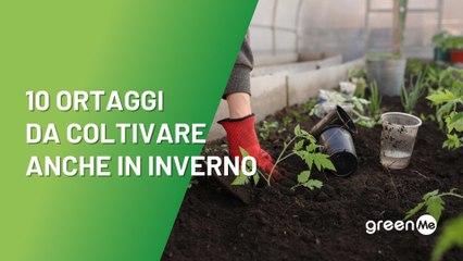 10 ortaggi da coltivare anche in inverno