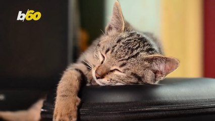 Make Your Weekend Last Longer With These Helpful Tips