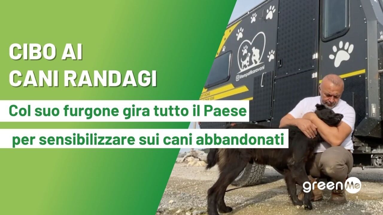 Cibo ai cani randagi. Col suo furgone gira tutto il Paese per combattere e sensibilizzare sui cani abbandonati