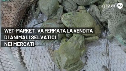 Wet-market, va fermata la vendita di animali selvatici nei mercati