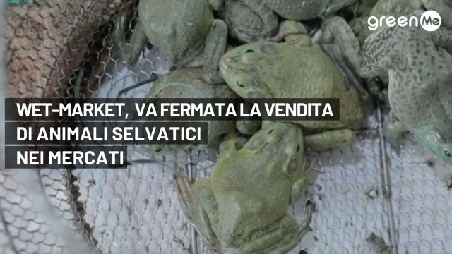 Wet-market, va fermata la vendita di animali selvatici nei mercati