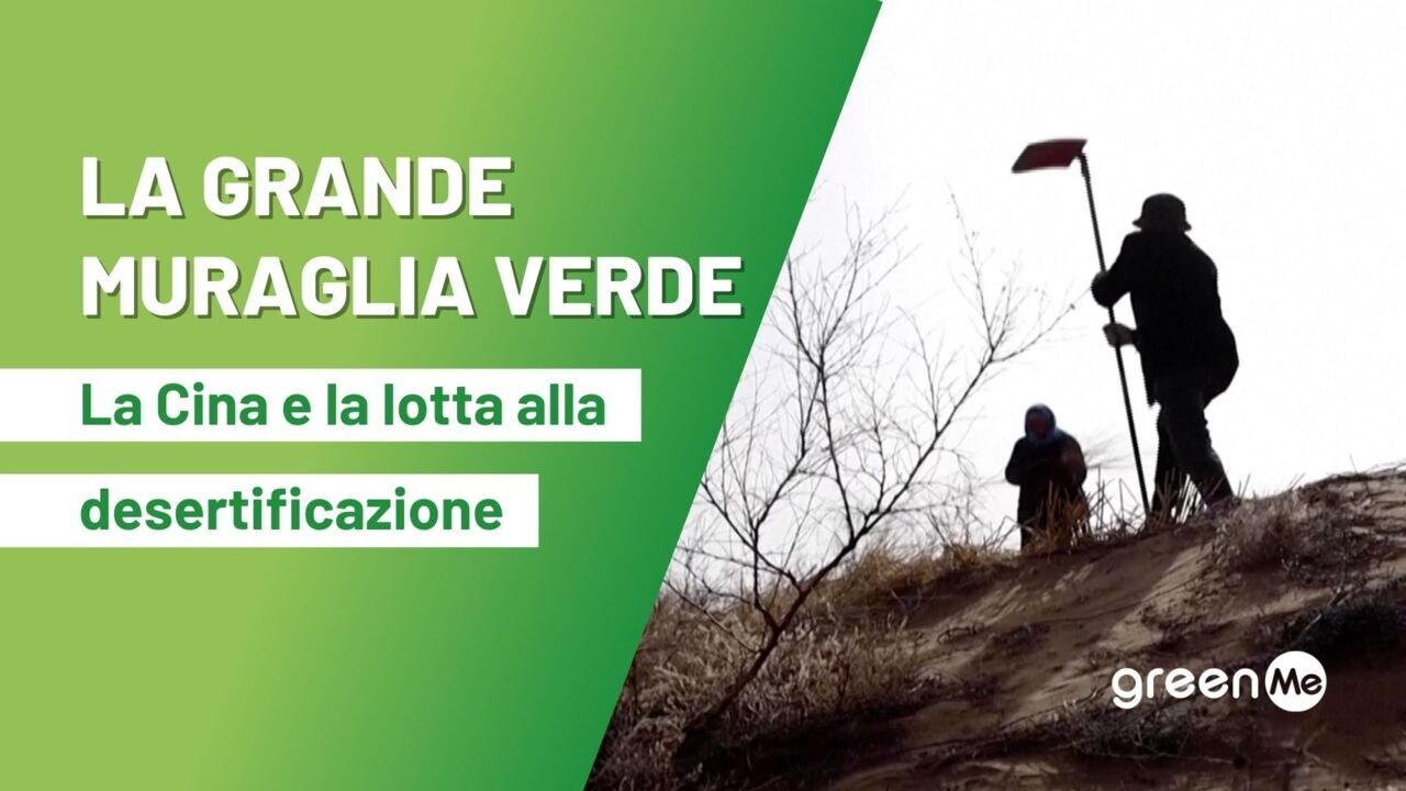 La Grande Muraglia verde