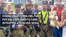 Ci sono voluti 5 vigili del fuoco per salvare questo cane intrappolato in una sedia