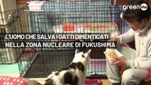 L'uomo che salva i gatti dimenticati nella zona nucleare di Fukushima
