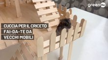 Cuccia per il criceto fai-da-te da vecchi mobili