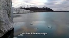 L'inquinamento delle microplastiche