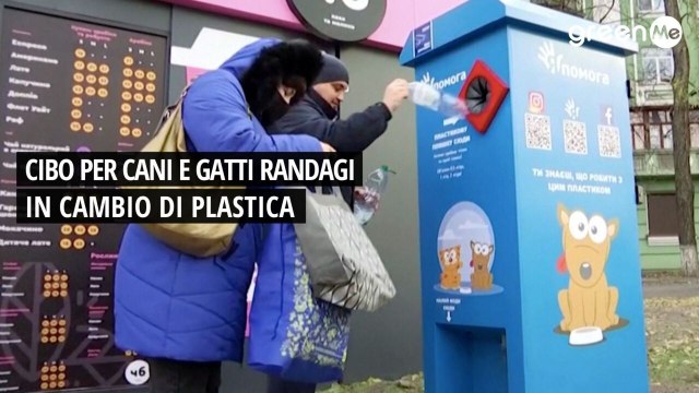 Cibo per cani e gatti randagi in cambio di bottiglie di plastica!