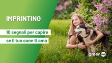 Imprinting: 10 segnali per capire se il tuo cane ti ama