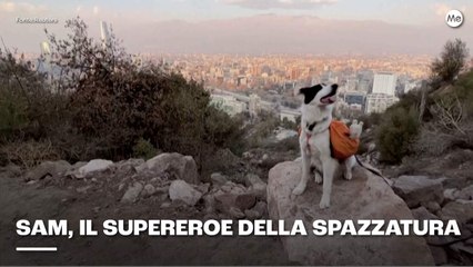 Sam, il supereroe della spazzatura