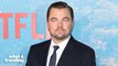 Leonardo DiCaprio Gets Dragged For Rumors He's Dating A 19 Year-Old