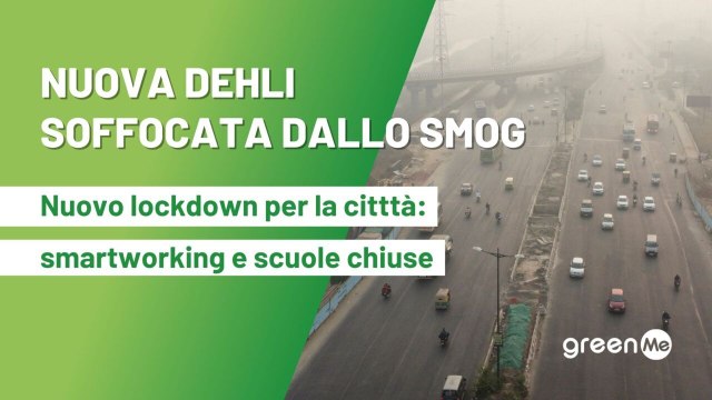 Nuova Dehli soffocata dallo smog: smartworking e scuole chiuse