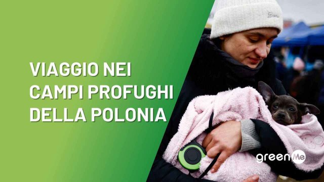 Viaggio nei campi profughi della Polonia