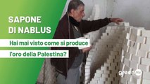 Sapone di Nablus. Hai mai visto come si produce l'oro della Palestina?