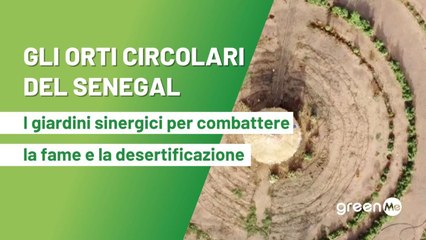 Gli orti circolari del Senegal, i giardini sinergici per combattere la fame e la desertificazione