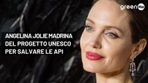 Angelina Jolie madrina del progetto Unesco per salvare le api