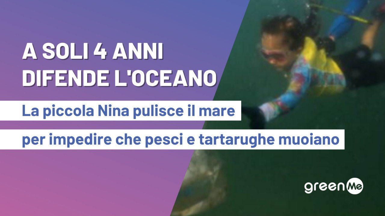 A soli 4 anni difende l'oceano, la piccola Nina pulisce il mare per impedire che pesci e tartarughe muoiano