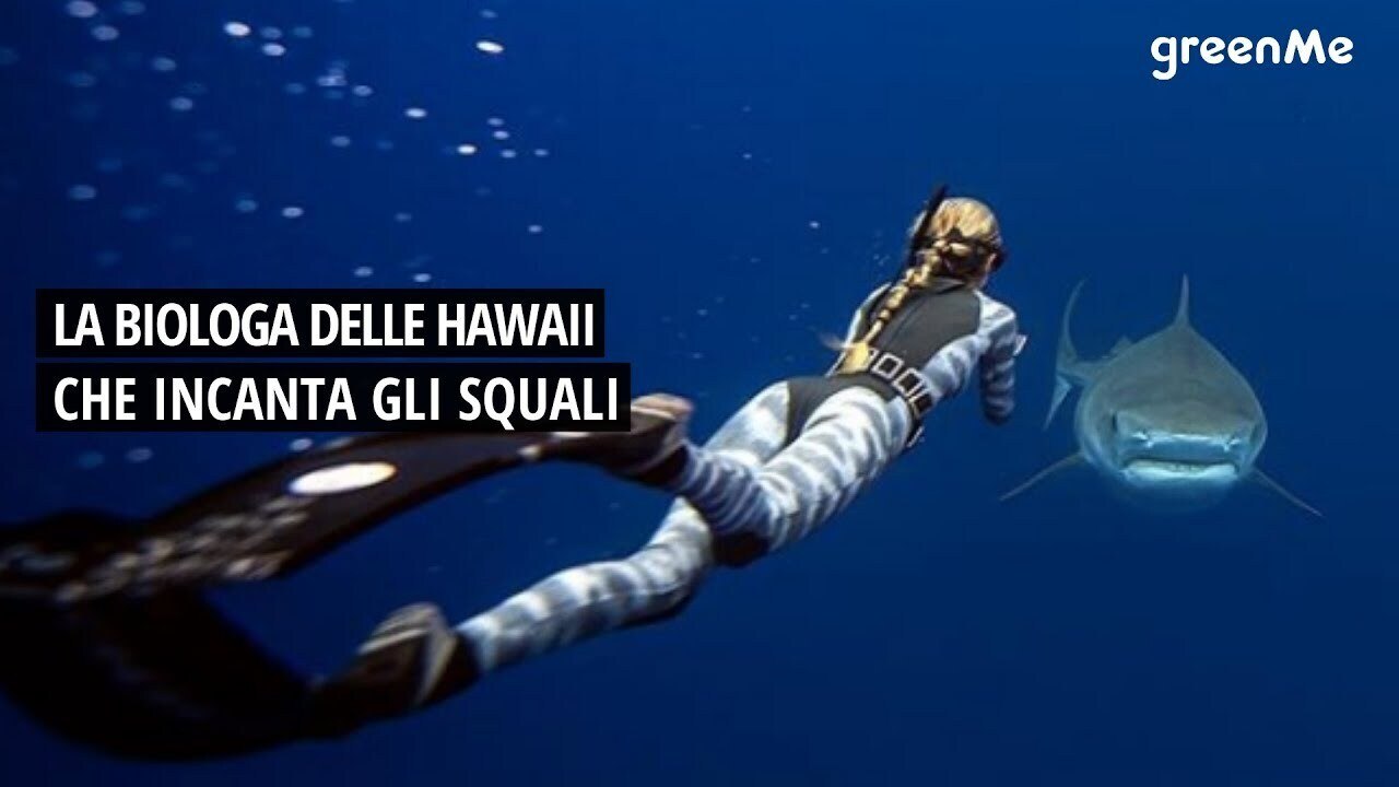 La biologa delle Hawaii incanta gli squali