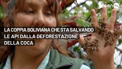 La coppia boliviana che sta salvando le api dalla deforestazione della coca