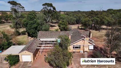 Spring Grove, Yarrawalla | February 10, 2023 | Farmonline