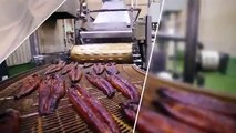 How Japanese Farming Million of Eel and Harvesting Them - World Most Expensive Eels Meat Processing