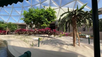 Visiting the Amazing Epcot Park in Orlando with the World Showcase