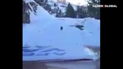 Mucize anları! Kahramanmaraş'ta yolunu kaybeden ekip, köpeğin yol göstermesi sayesinde yardımlarını ulaştırdı