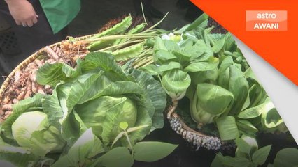 Baja Organik | Tingkat pengeluaran produk pertanian, kawal isu kurang bekalan