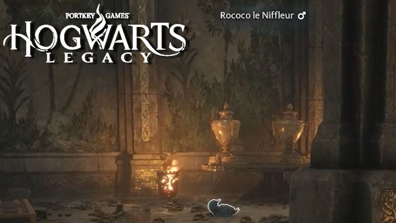 A la rescousse de Rococo Hogwarts Legacy : Comment réussir la quête dans la cachette d'Henrietta ?
