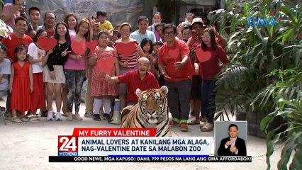 Animal lovers at kanilang mga alaga, nag-valentine date sa Malabon Zoo | 24 Oras Weekend