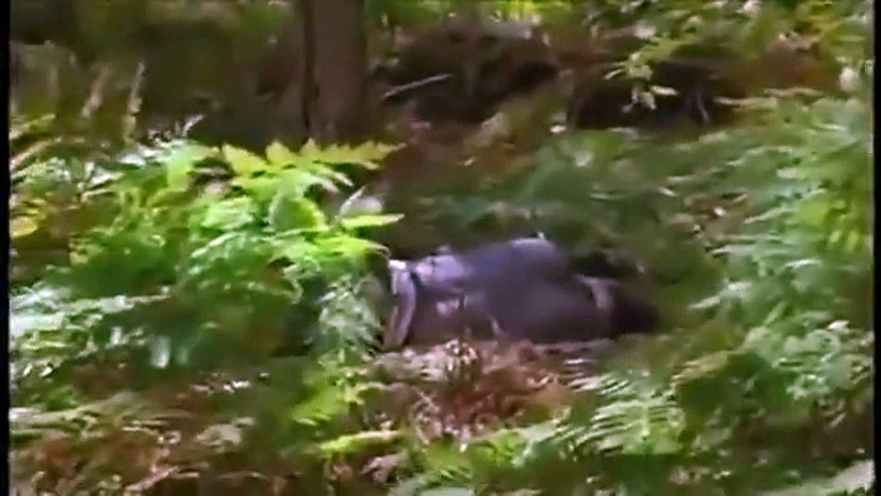 The Lost World - Se1 - Ep18 HD Watch