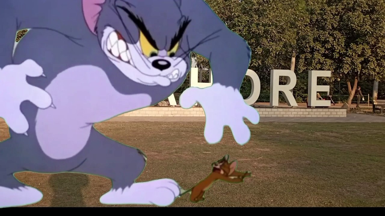 Tom And Jerry In Lahore