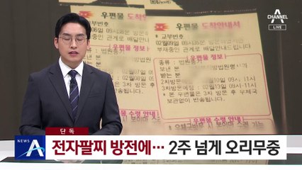 [단독]전자팔찌 방전에…2주 넘게 행방 오리무중