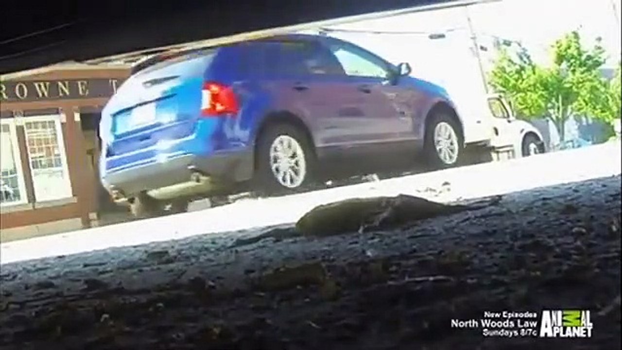 North Woods Law - Se6 - Ep07 HD Watch