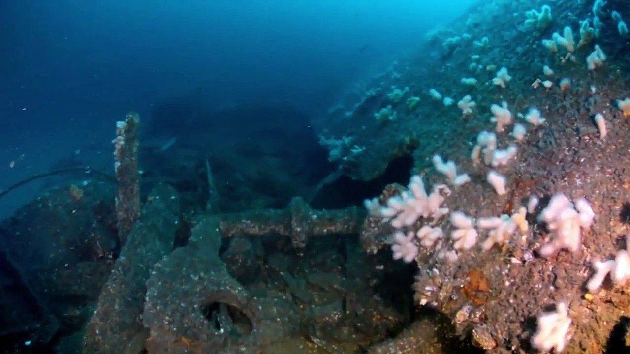 Shipwreck Secrets - Se1 - Ep05 - Curse of The Amanda Graveyard HD Watch