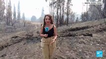 Santa Juana, una de las zonas de Chile más afectadas por los incendios forestales