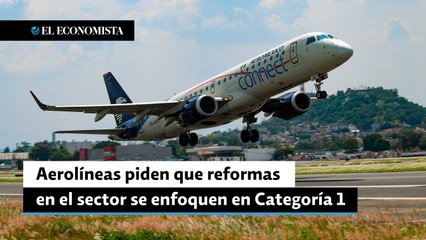 Aerolíneas piden que reformas en el sector se enfoquen en Categoría 1