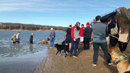Stranger Rescues Dog After It Falls Through Ice on Frozen Lake