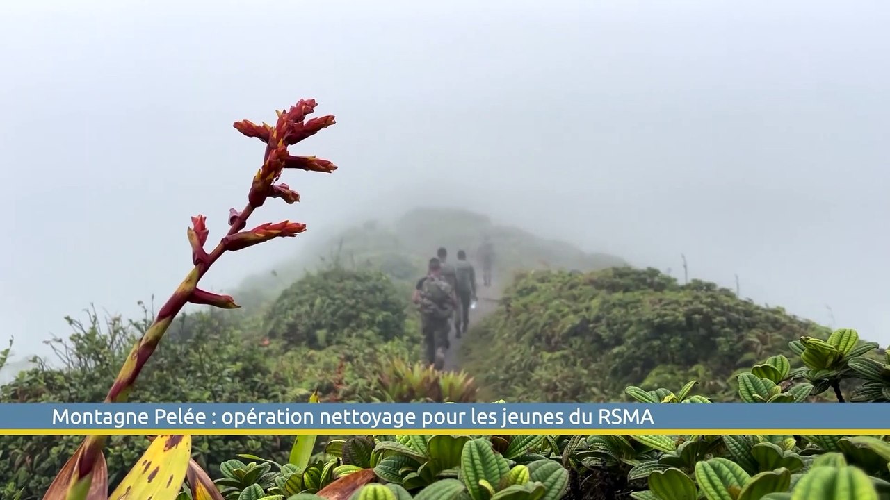 Le Grand J.T. des Territoires du 11 février 2023