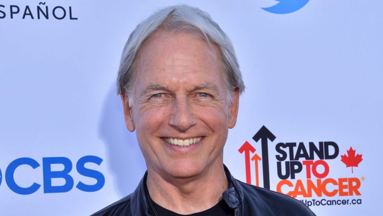 Nach ncis-aus: dieses update von mark harmon überrascht alle