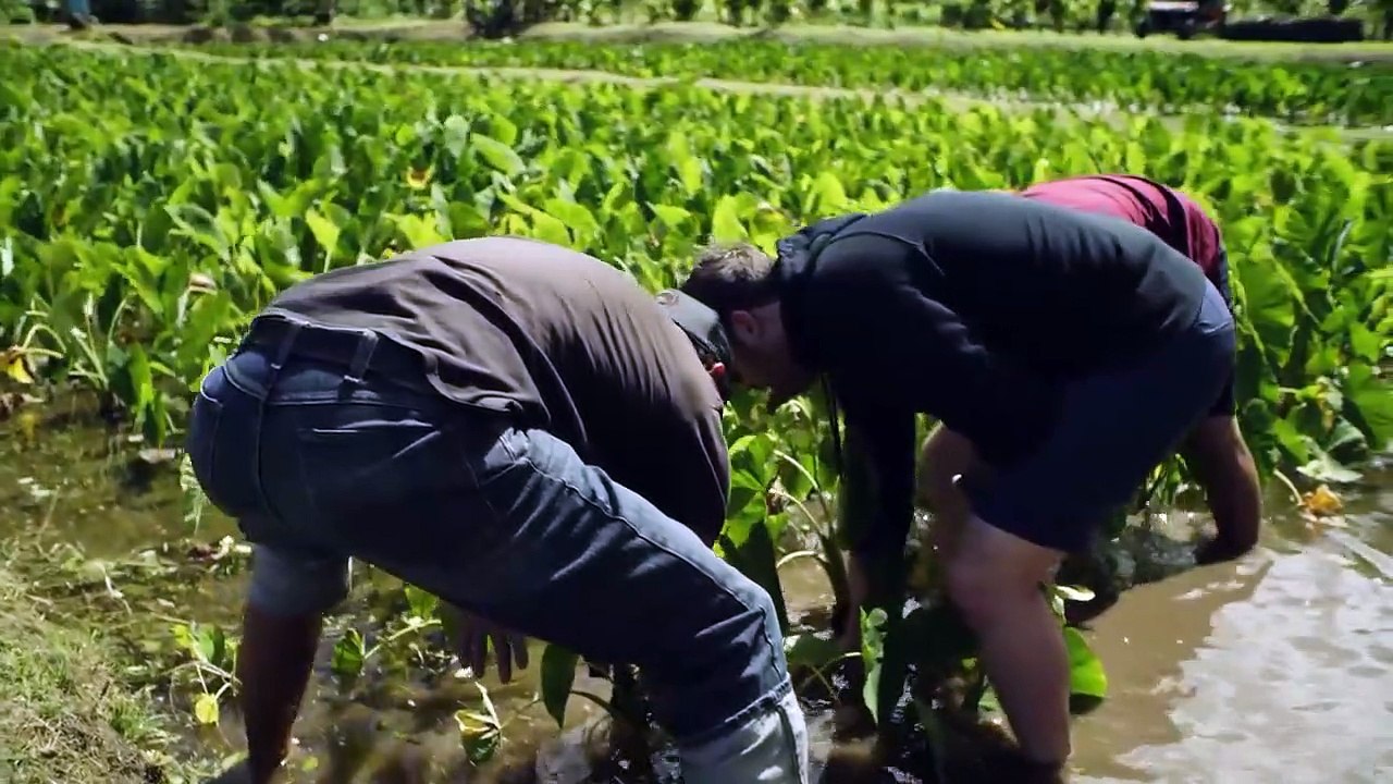 Restaurants on the Edge - Se2 - Ep05 HD Watch