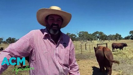 JILLANGOLO | 07022023 | SJ