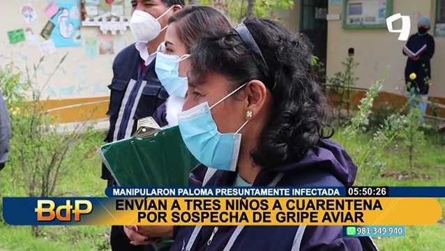 Huancayo: niños que manipularon paloma presuntamente con gripe aviar no presentan síntomas