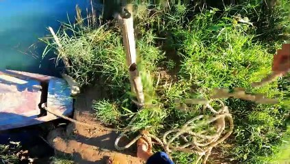 Sang Vlog - Bắt Con CÁ ÔNG NỘI - 3 Ngày Săn Tìm Cá Rừng Gác Bếp