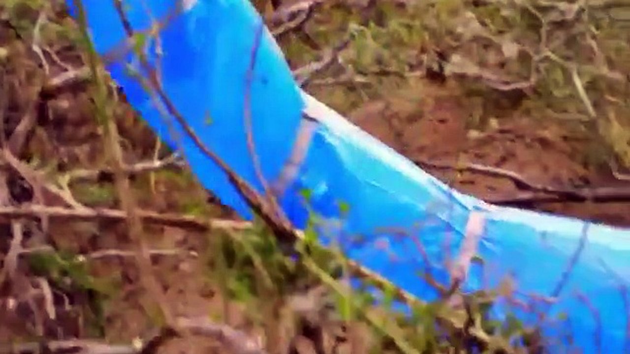 Treasure Quest - Snake Island - Se3 - Ep07 HD Watch